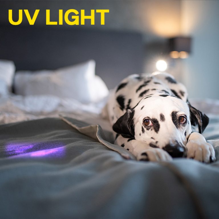 uv-light (2)