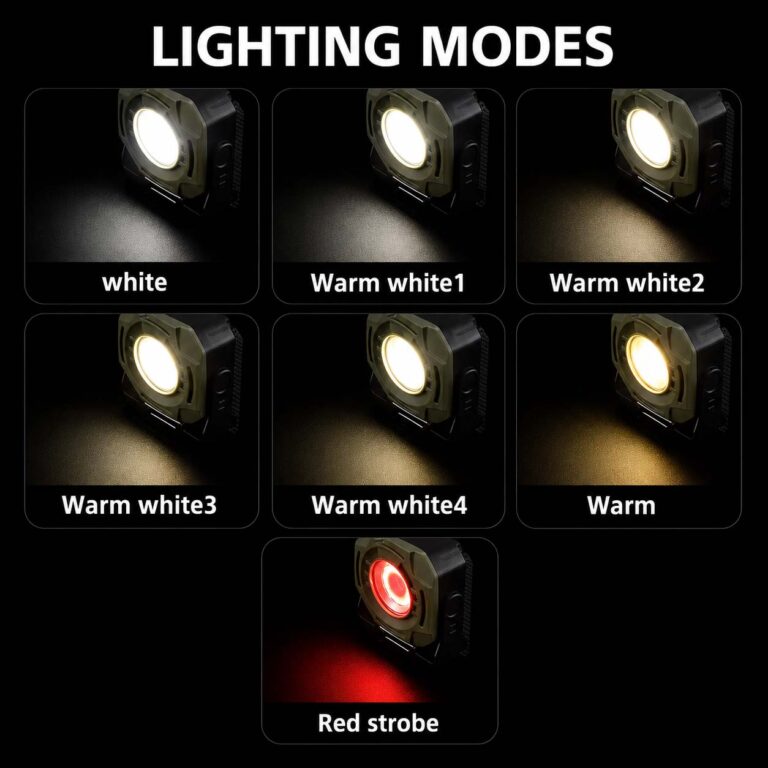 7976